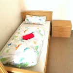 Engel Hotel *